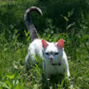 Meet your Posher, Ella